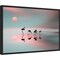 Family flamingos by Natalia Baras 23-in. W x 16-in. H. Canvas Wall Art Print Framed in Black